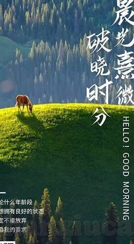 免费91麻豆精品国产自产在线-网络迷途与自我审视，从免费91麻豆精品国产自产在线现象看网络文化健康发展