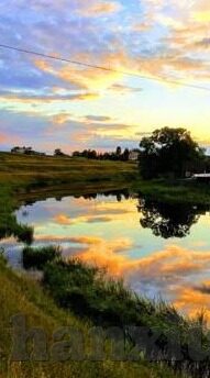 糖心app下载网址-揭密糖心应用，探索其真实性及安全隐忧